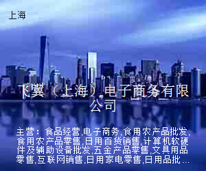 飞翼（上海）电子商务有限公司