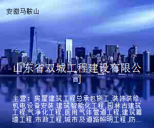 山东省双城工程建设有限公司