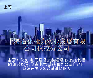 上海石化桠力实业发展有限公司仪控分公司