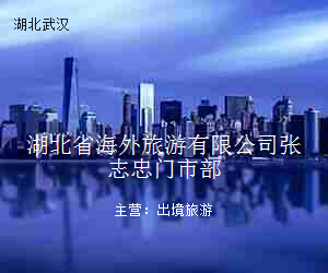 湖北省海外旅游有限公司张志忠门市部