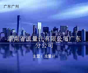 湖南省流量计有限公司广东分公司
