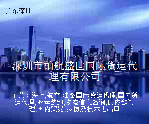 深圳市柏航盛世国际货运代理有限公司