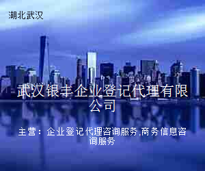 武汉银丰企业登记代理有限公司