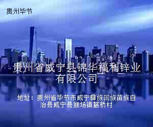 贵州省威宁县锦华福利锌业有限公司