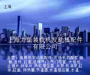 上海力柴装载机发动机配件有限公司