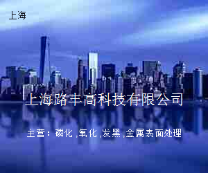 上海路丰高科技有限公司