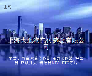 上海大地汽车传感器有限公司