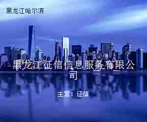 黑龙江征信信息服务有限公司
