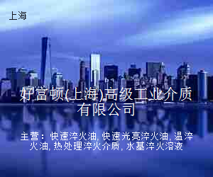 好富顿(上海)高级工业介质有限公司