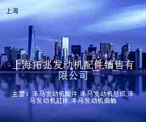 上海拓兆发动机配件销售有限公司