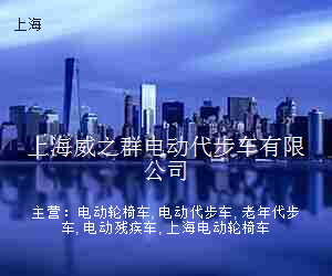 上海威之群电动代步车有限公司