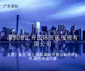深圳市汇升国际货运代理有限公司